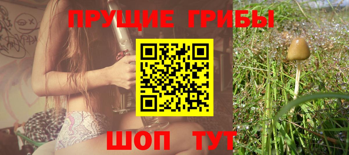 Псилоцибиновые грибы GOLDEN TEACHER Нурлат
