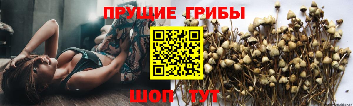 Нурлат  Галлюциногенные грибы ЛСД  Вход с VPN 